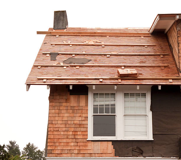 Affordable Siding Repair and Maintenance Services in La Selva Beach, CA